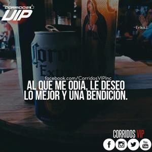 Meet your Posher, Amelia